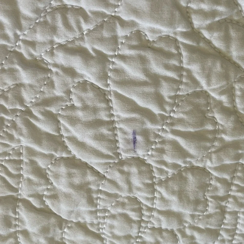 Pottery Barn standard sham